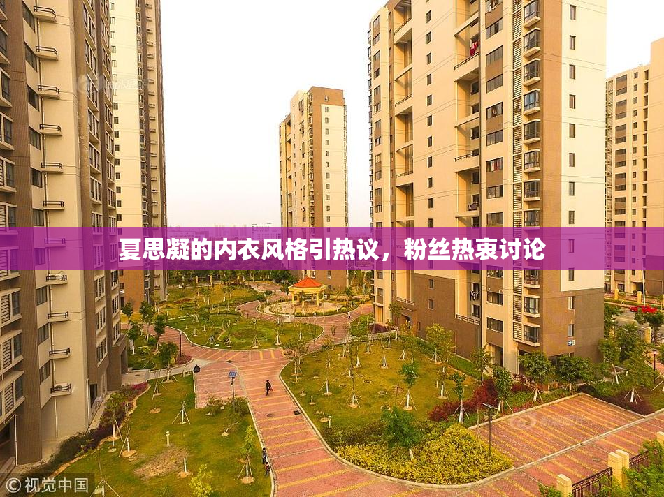 夏思凝的内衣风格引热议，粉丝热衷讨论