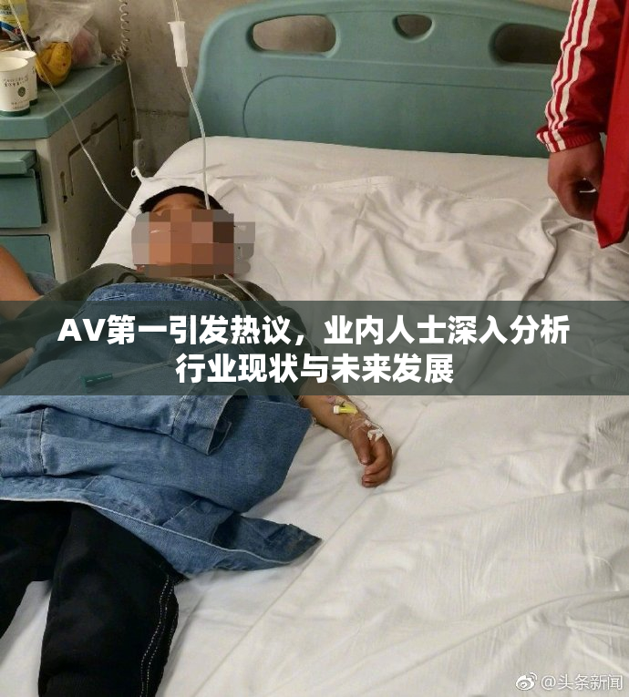AV第一引发热议，业内人士深入分析行业现状与未来发展