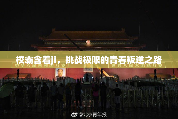 校霸含着ji，挑战极限的青春叛逆之路