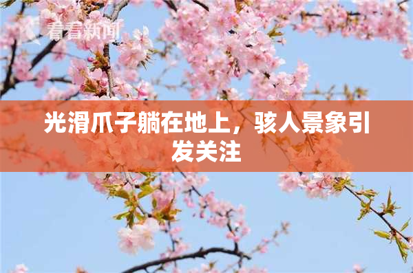 光滑爪子躺在地上，骇人景象引发关注