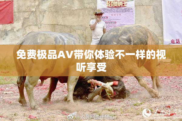 免费极品AV带你体验不一样的视听享受