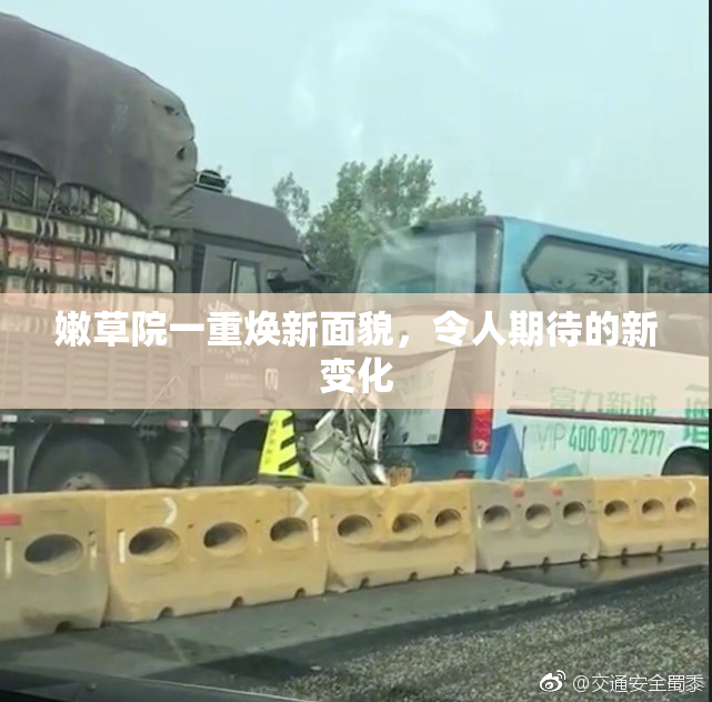 嫩草院一重焕新面貌，令人期待的新变化