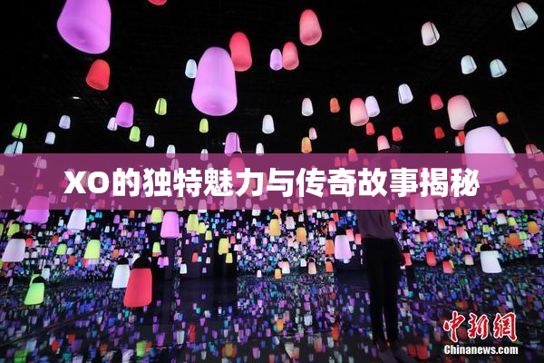 XO的独特魅力与传奇故事揭秘