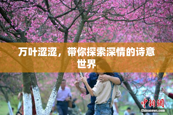 万叶涩涩，带你探索深情的诗意世界