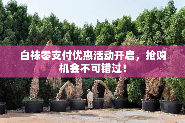 白袜零支付优惠活动开启，抢购机会不可错过！