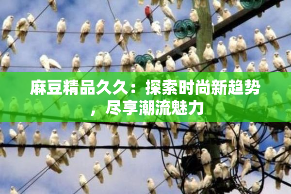 麻豆精品久久：探索时尚新趋势，尽享潮流魅力