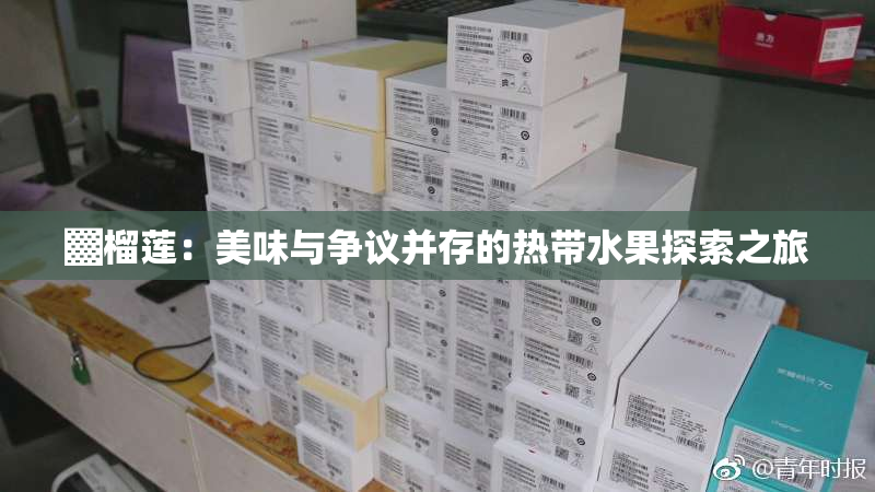 ▓榴莲：美味与争议并存的热带水果探索之旅