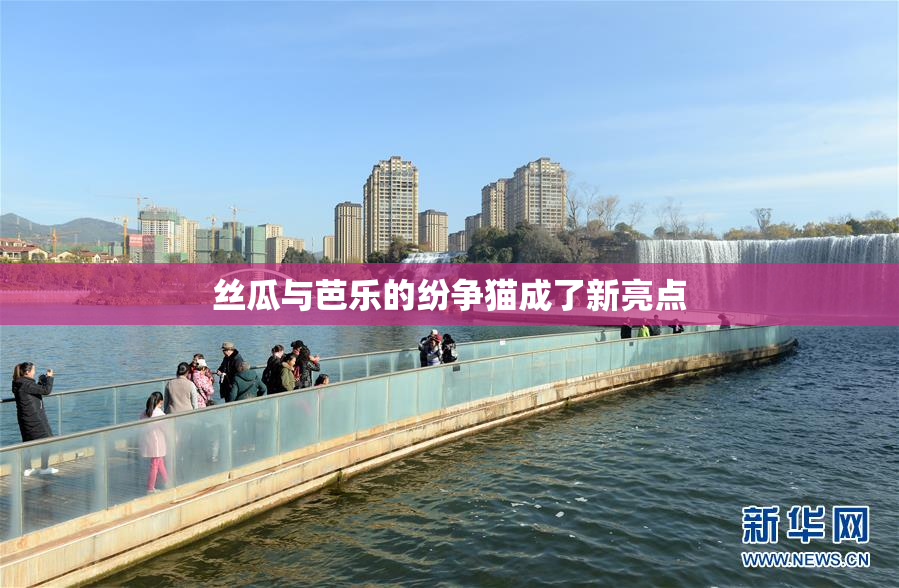 丝瓜与芭乐的纷争猫成了新亮点