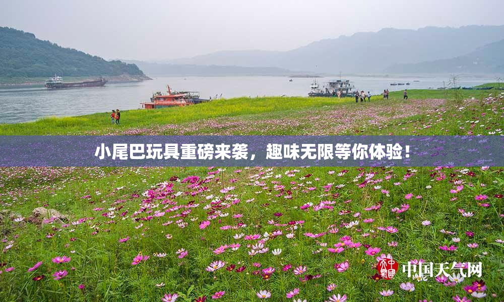 小尾巴玩具重磅来袭，趣味无限等你体验！