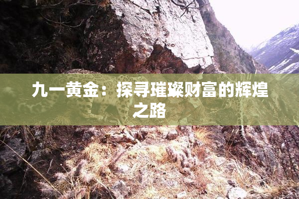 九一黄金：探寻璀璨财富的辉煌之路
