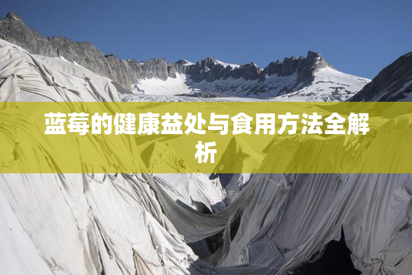蓝莓的健康益处与食用方法全解析