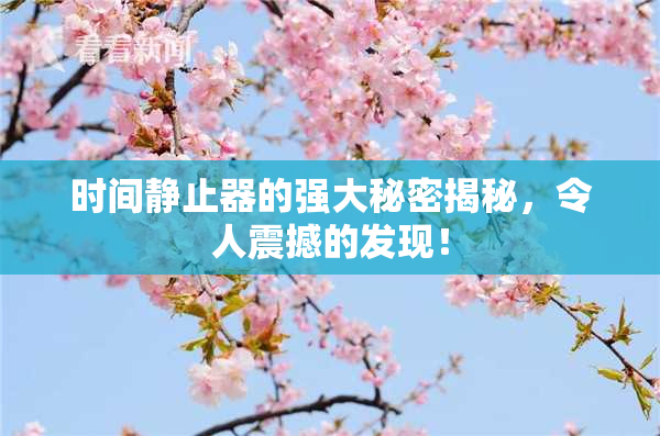 时间静止器的强大秘密揭秘，令人震撼的发现！