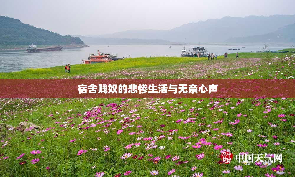 宿舍贱奴的悲惨生活与无奈心声