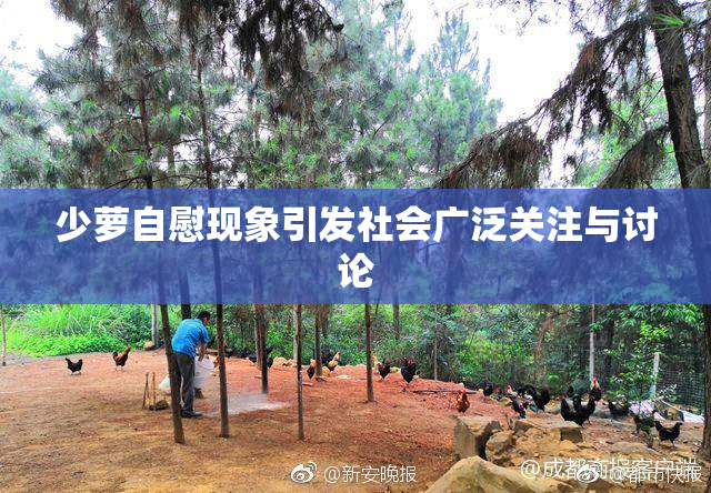 少萝自慰现象引发社会广泛关注与讨论