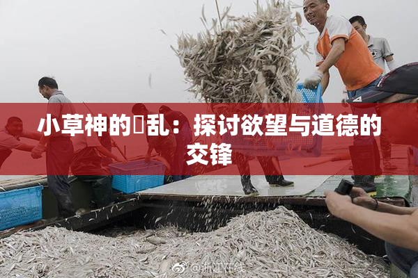 小草神的婬乱：探讨欲望与道德的交锋