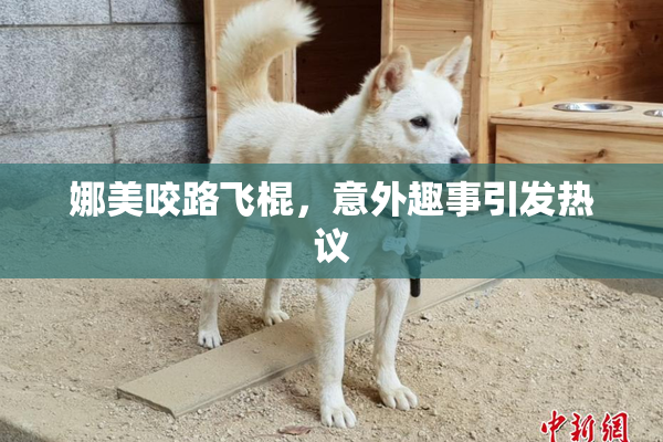 娜美咬路飞棍，意外趣事引发热议