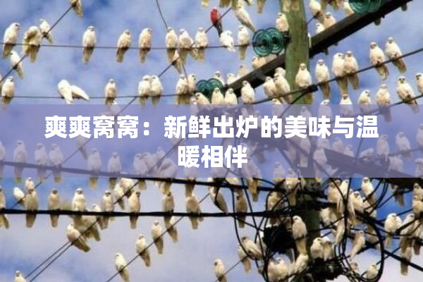 爽爽窝窝：新鲜出炉的美味与温暖相伴