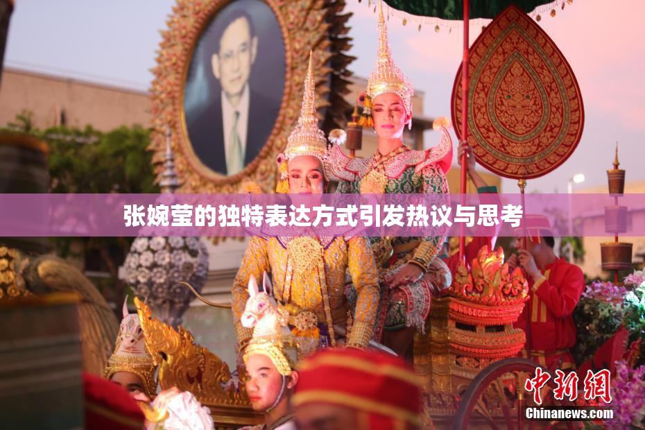 张婉莹的独特表达方式引发热议与思考