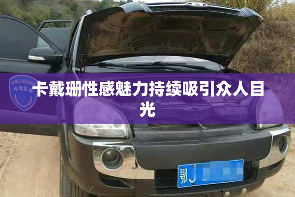 卡戴珊性感魅力持续吸引众人目光
