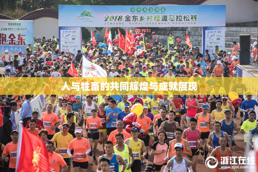 人与牲畜的共同辉煌与成就展现