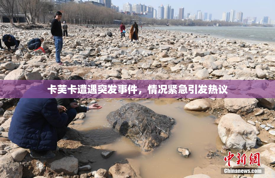 卡芙卡遭遇突发事件，情况紧急引发热议