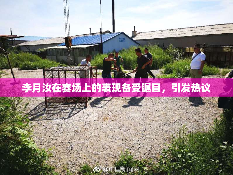 李月汝在赛场上的表现备受瞩目，引发热议