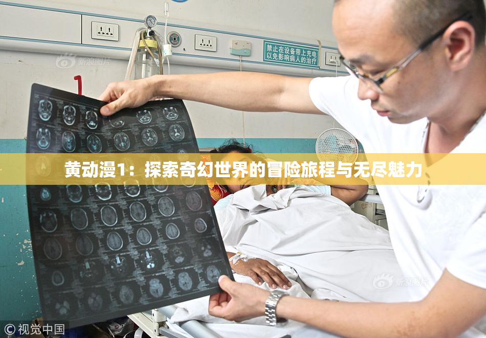 黄动漫1：探索奇幻世界的冒险旅程与无尽魅力