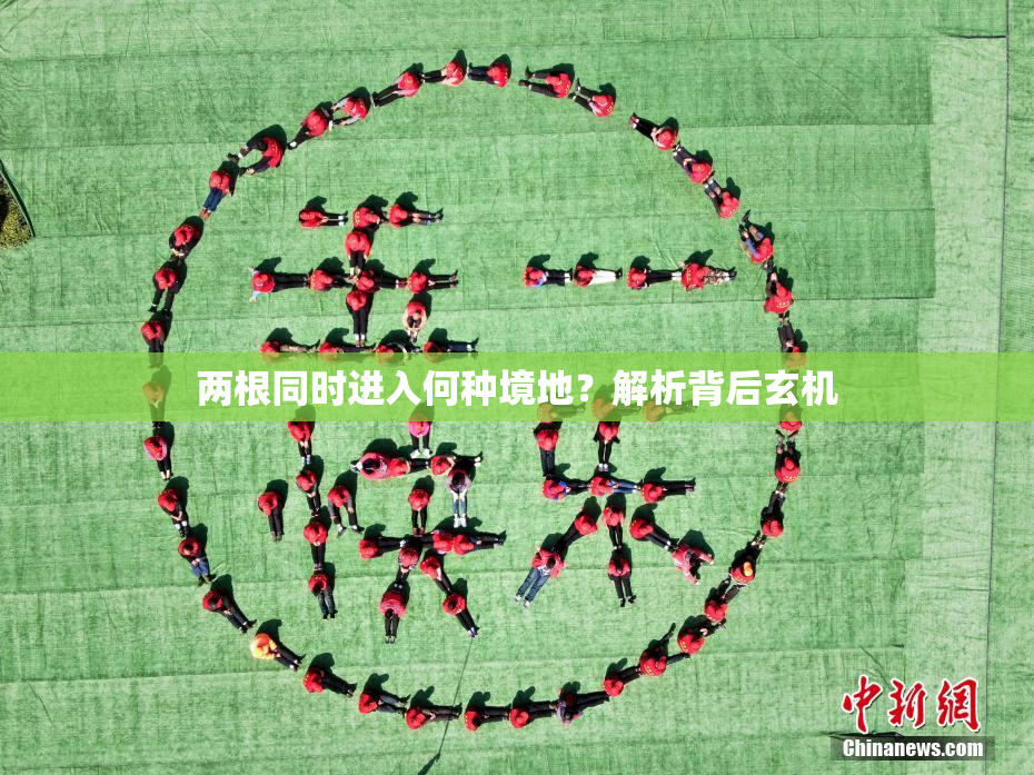 两根同时进入何种境地？解析背后玄机