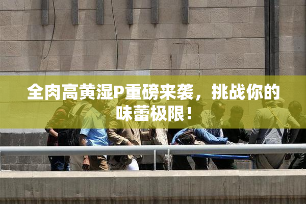 全肉高黄湿P重磅来袭，挑战你的味蕾极限！