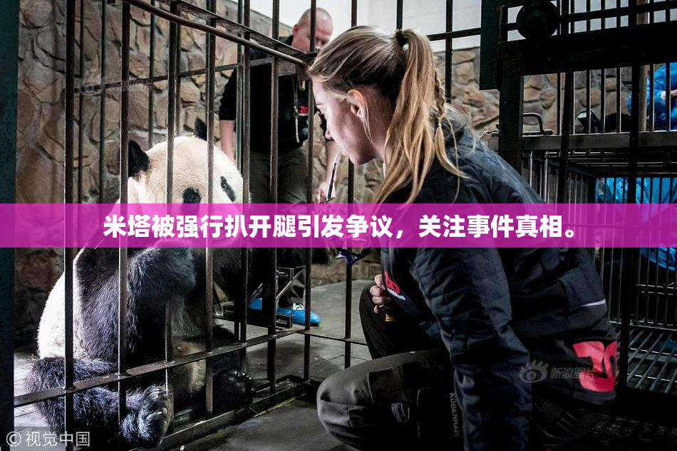 米塔被强行扒开腿引发争议，关注事件真相。