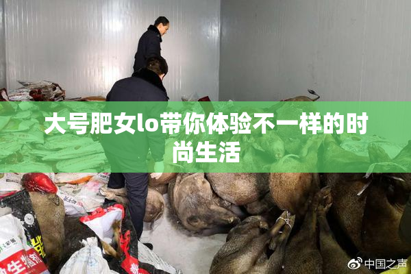 大号肥女lo带你体验不一样的时尚生活