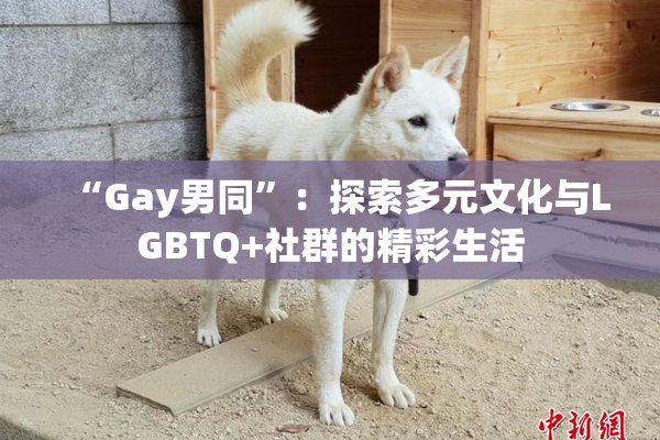 “Gay男同”：探索多元文化与LGBTQ+社群的精彩生活