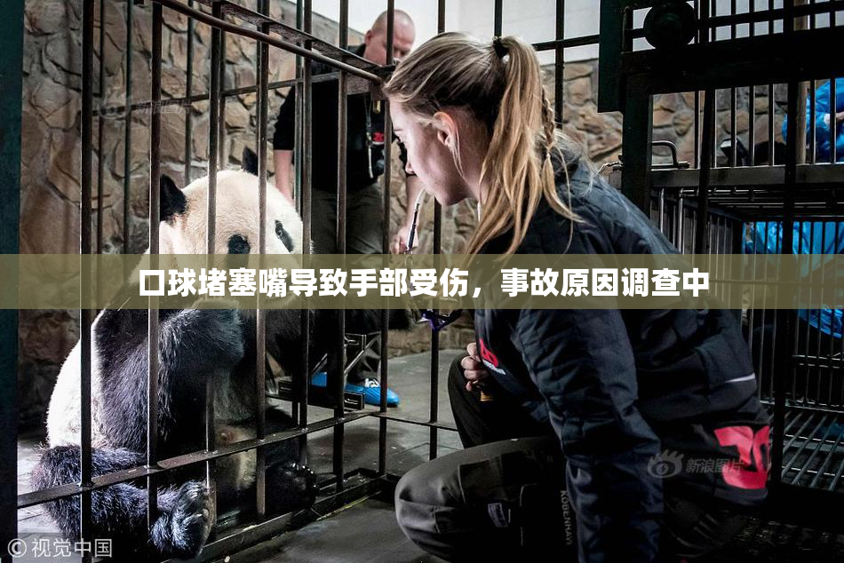 口球堵塞嘴导致手部受伤，事故原因调查中