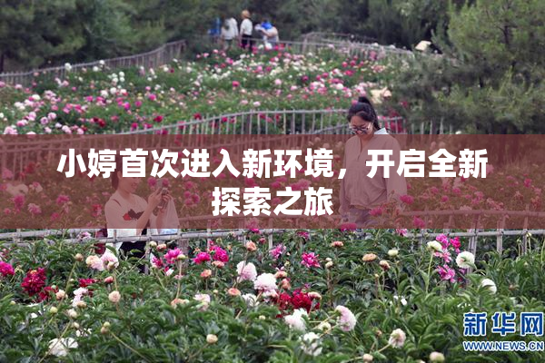 小婷首次进入新环境，开启全新探索之旅