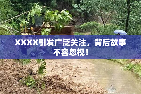 XXXX引发广泛关注，背后故事不容忽视！