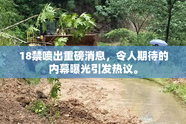 18禁喷出重磅消息，令人期待的内幕曝光引发热议。