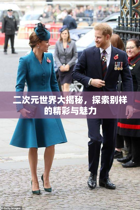 二次元世界大揭秘，探索别样的精彩与魅力