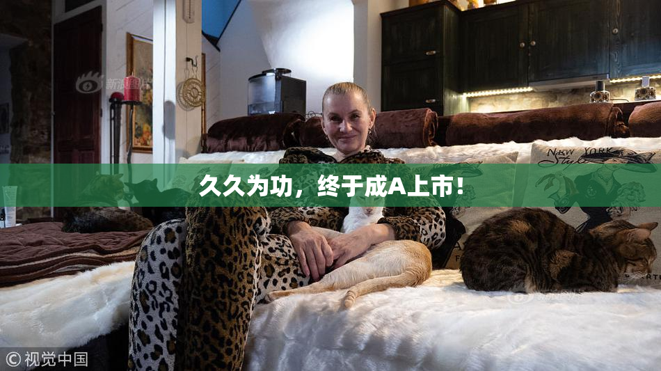 久久为功，终于成A上市！