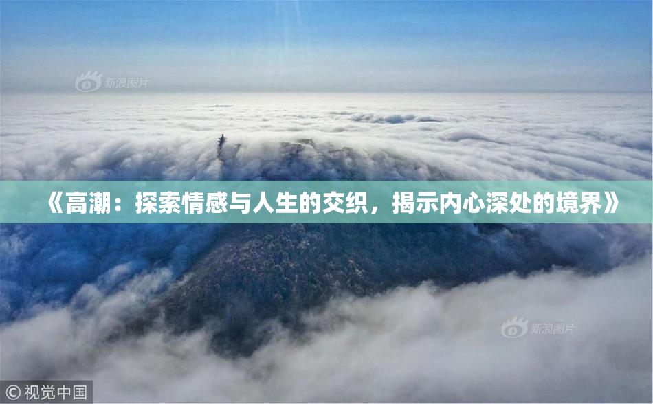 《高潮：探索情感与人生的交织，揭示内心深处的境界》