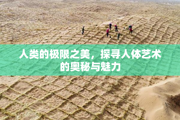 人类的极限之美，探寻人体艺术的奥秘与魅力