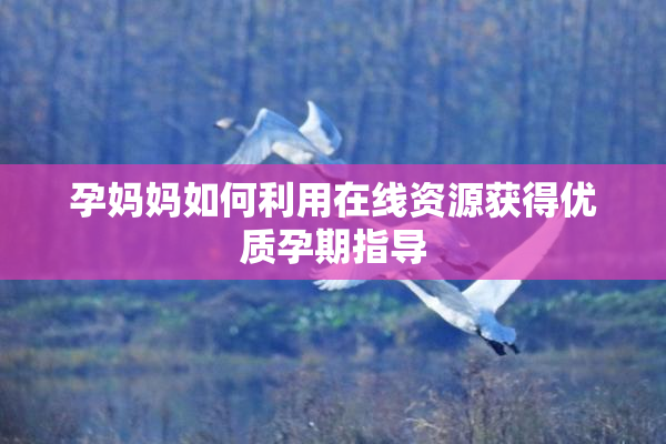 孕妈妈如何利用在线资源获得优质孕期指导