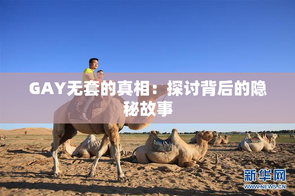 GAY无套的真相：探讨背后的隐秘故事