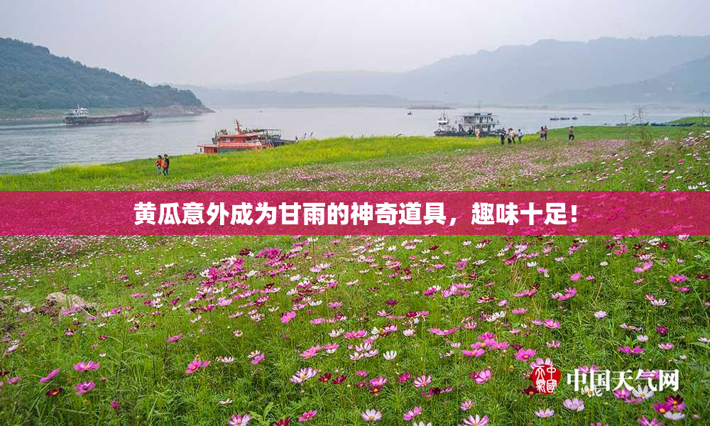黄瓜意外成为甘雨的神奇道具，趣味十足！