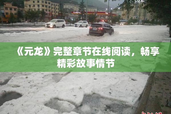 《元龙》完整章节在线阅读，畅享精彩故事情节