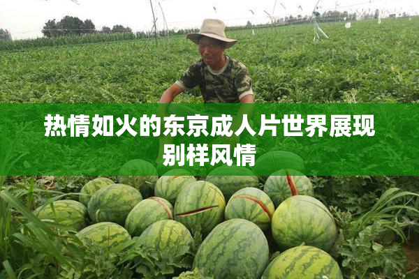 热情如火的东京成人片世界展现别样风情