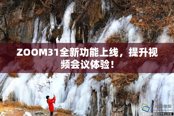 ZOOM31全新功能上线，提升视频会议体验！