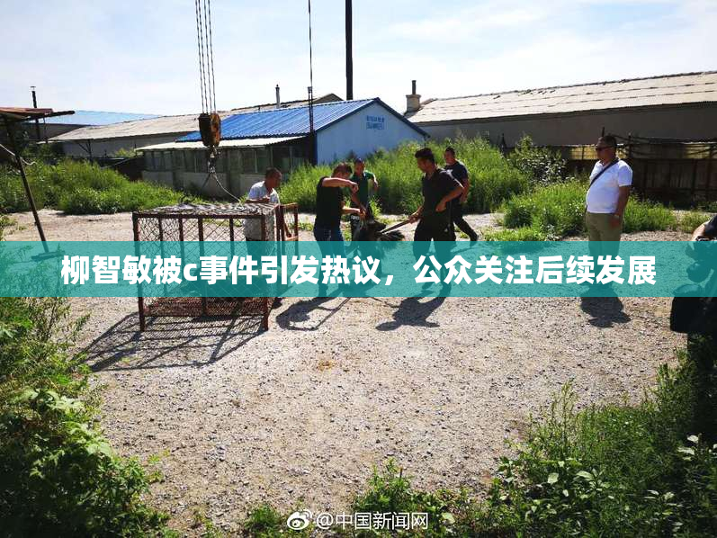 柳智敏被c事件引发热议，公众关注后续发展