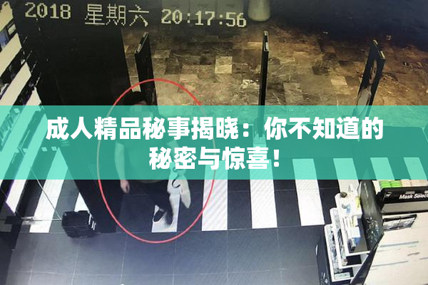 成人精品秘事揭晓：你不知道的秘密与惊喜！