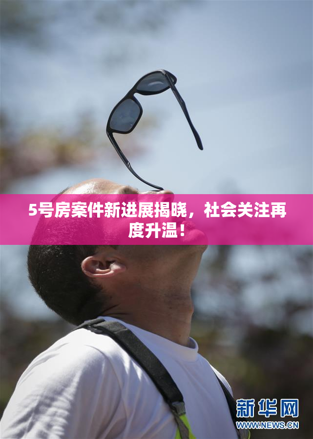 5号房案件新进展揭晓，社会关注再度升温！