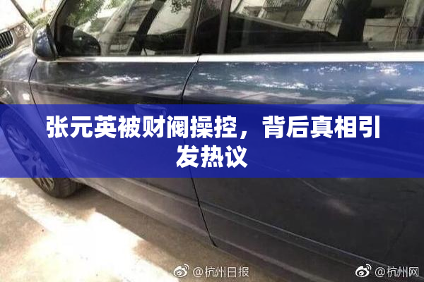 张元英被财阀操控，背后真相引发热议